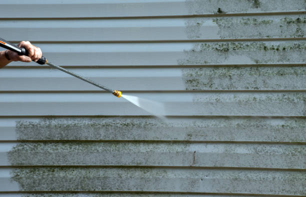 Mold Testing and Removal in Moscow, ID