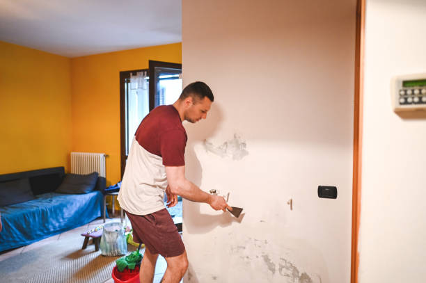 Best Professional Mold Removal  in Moscow, ID